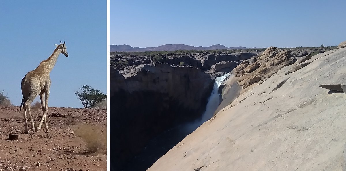 Жираф и водопад
